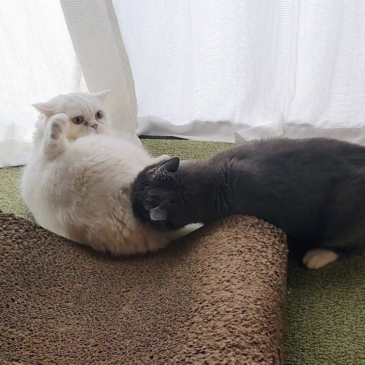 882a0879 e1c6 4bcd 8de2 a54fe1502589 1757804390489