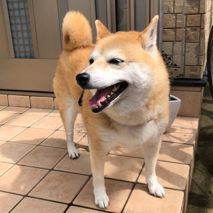 882a5066 5537 4844 88b7 a36ffa1d4611 1594211922457