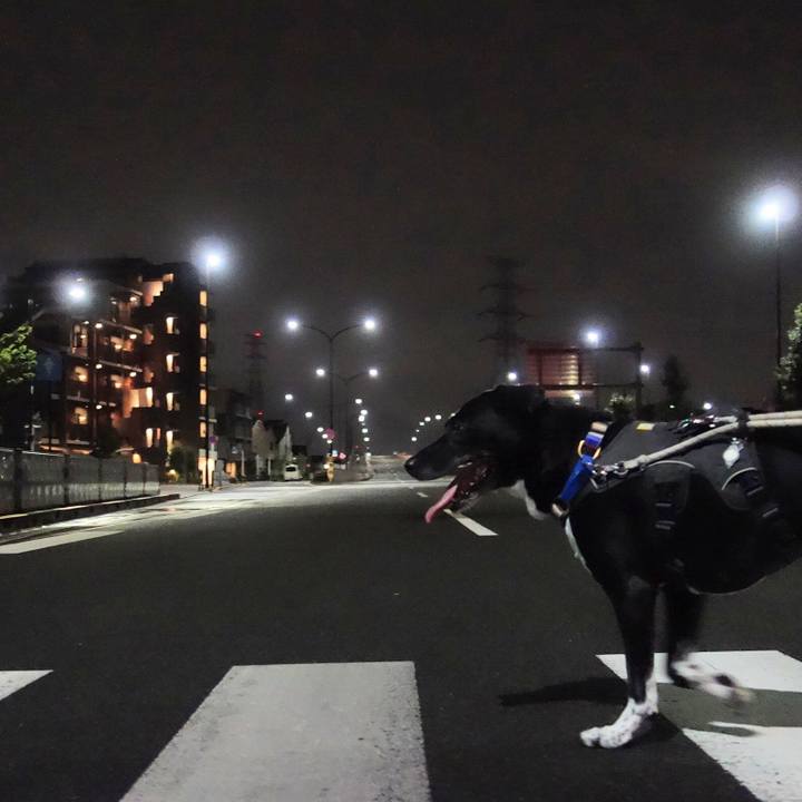 882a53f3 0f7c 4f61 97a7 78cd33bce7c6 1662116463324