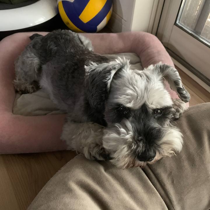 882b1afb c6fb 483f addd e53cf04dd06b 1694848821644