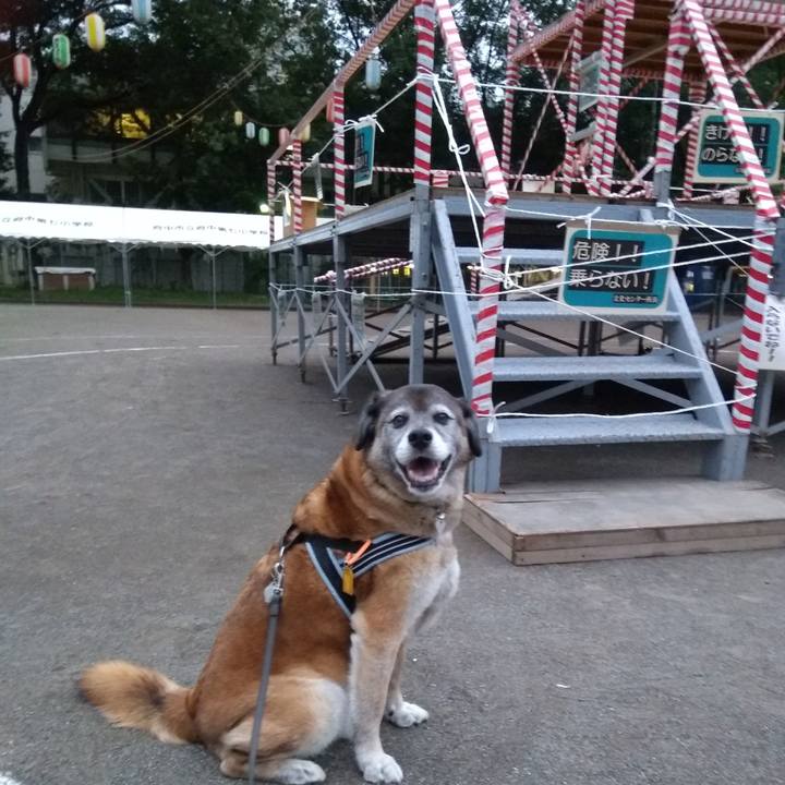 882b1b7e 9534 44fb b102 5dec6a3ace53 1562762485688