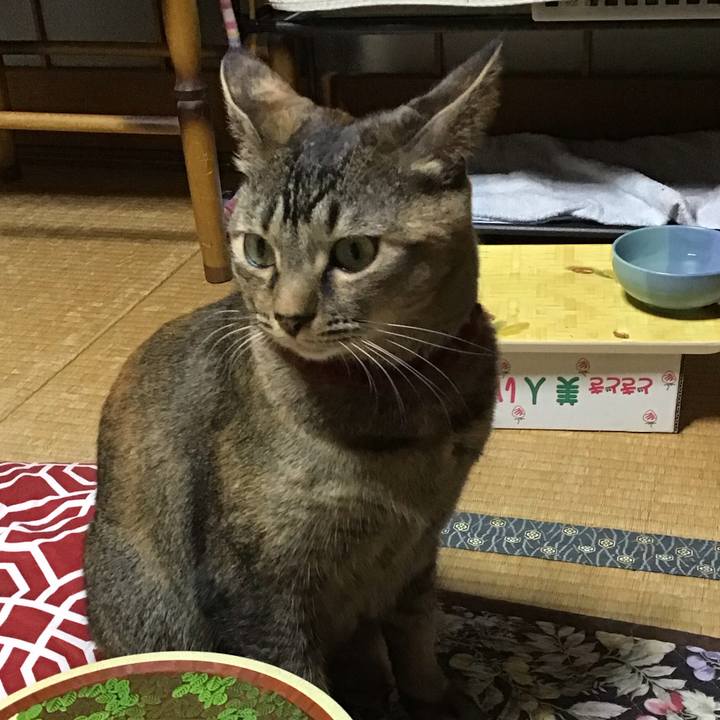 882b22e3 e27a 4f32 bfb6 19b6cf734519 1640077292709