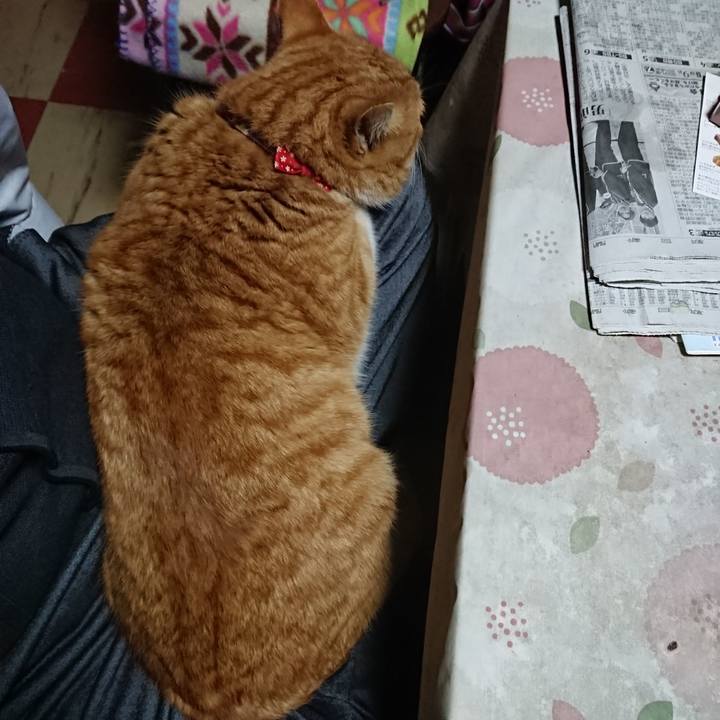 882b56d2 df12 4c2f 8eec 4ccdaca5d468 1578647025752