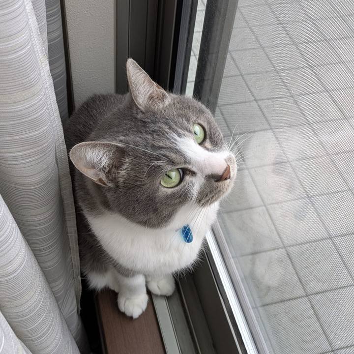 882b7860 bec7 47da b3ec b29a6fb19fc3 1775268360076