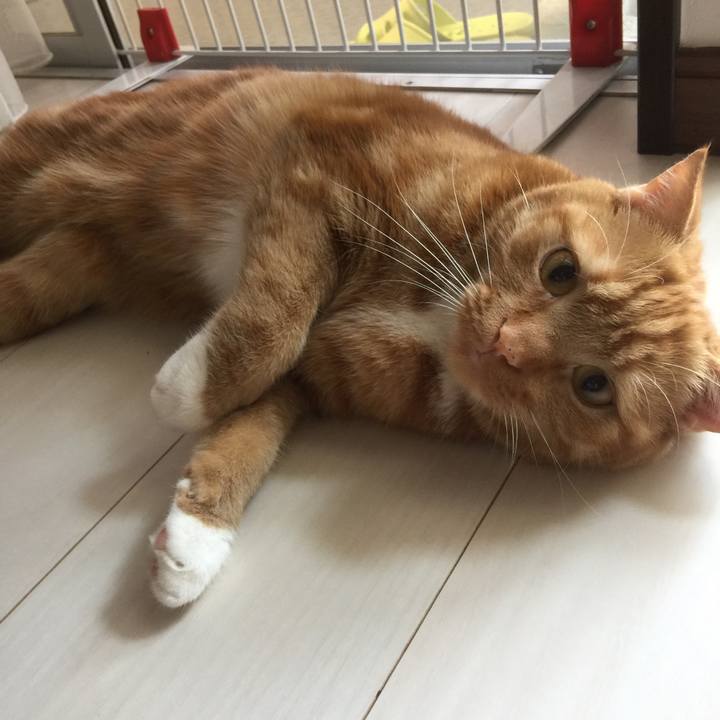 882b7e73 caf8 4e5f 9df7 9c3f94c216bc 1559780159541