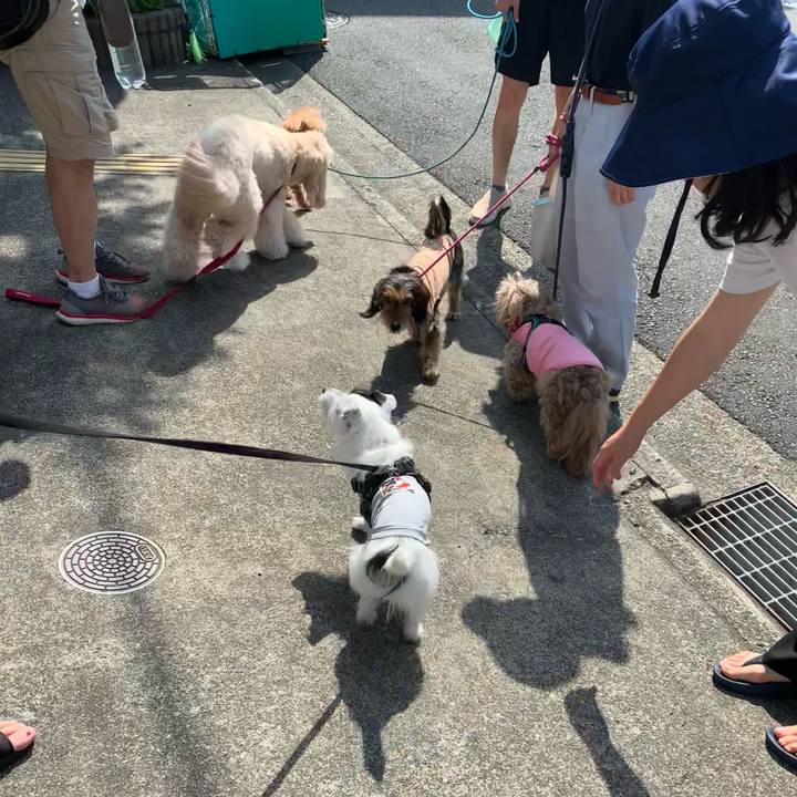 882bac48 91f8 4226 a9a9 b679038782f9 1684368239331