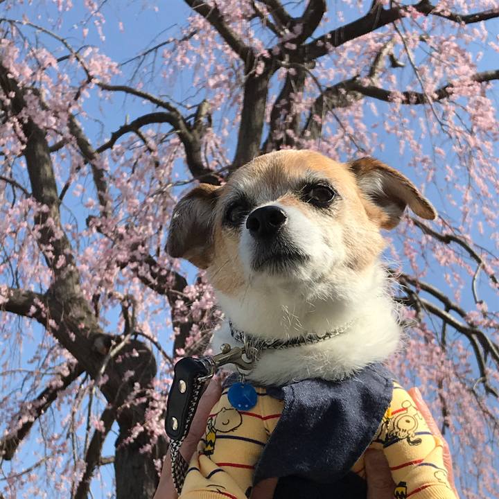 882bc461 b004 4a5c b40a e2558d7df9a8 1616129167558