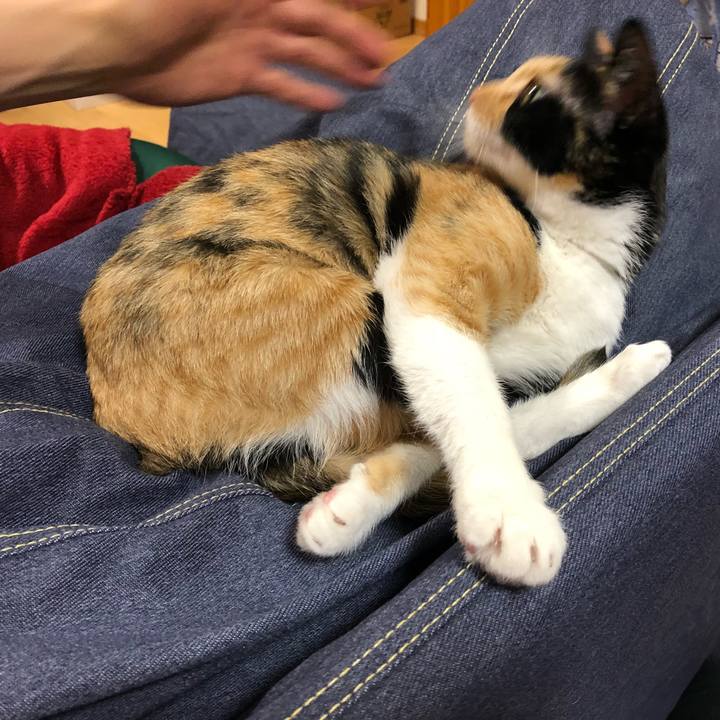 882bef32 f2b2 492c bad9 f8dc67753e68 1525616542826