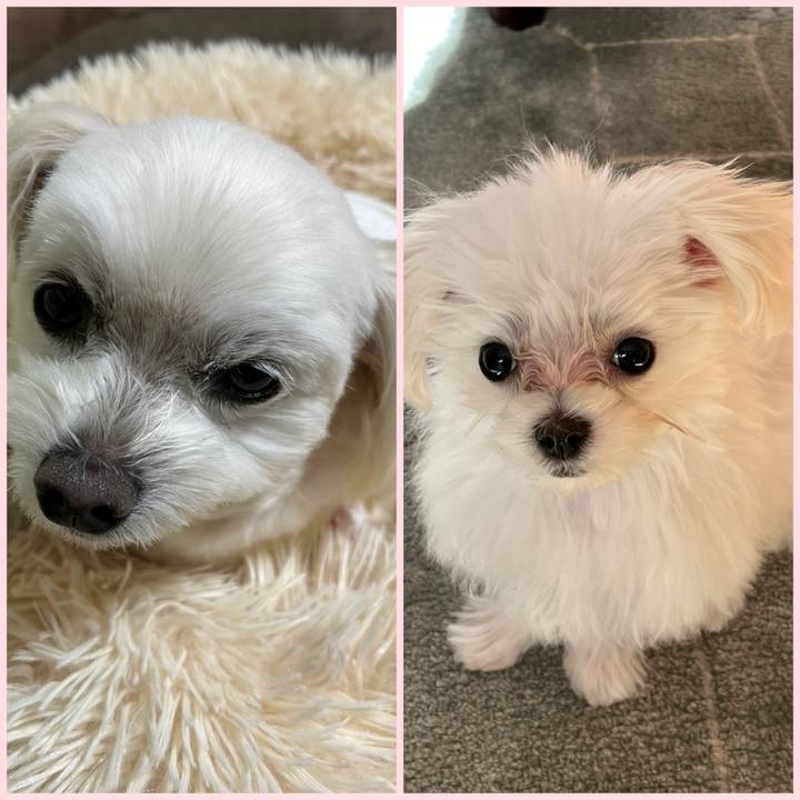 882bfae7 a10b 4349 846c 10a23ca55d27 1704452450953