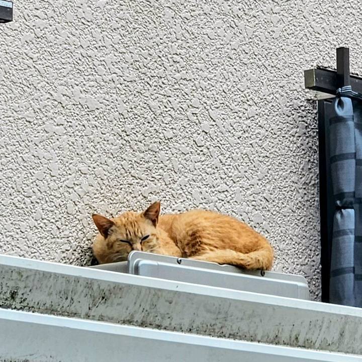 882c282e 564c 408d 9a70 007d0095dd00 1748667584655