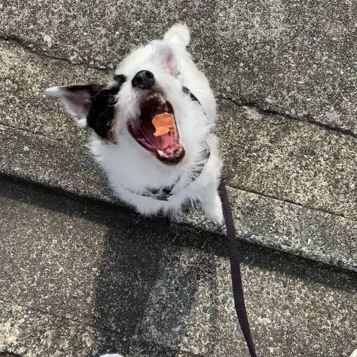 882c5107 ab55 43ff 9272 e86c7fb9a8ed 1720221296313