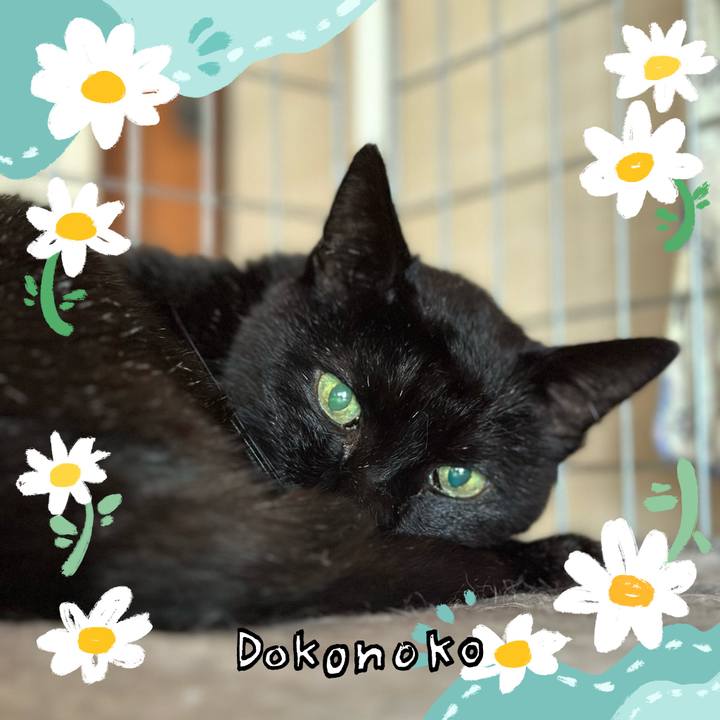 882c7303 baa9 4f28 8797 8b6a351bd184 1712283816990