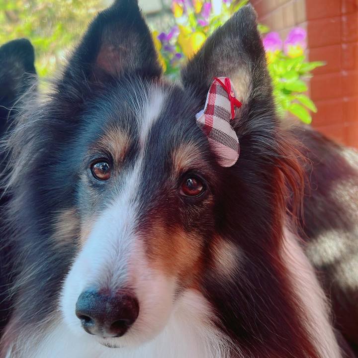 882c9508 9b64 4487 9cb6 133445e5b6f9 1670519116524