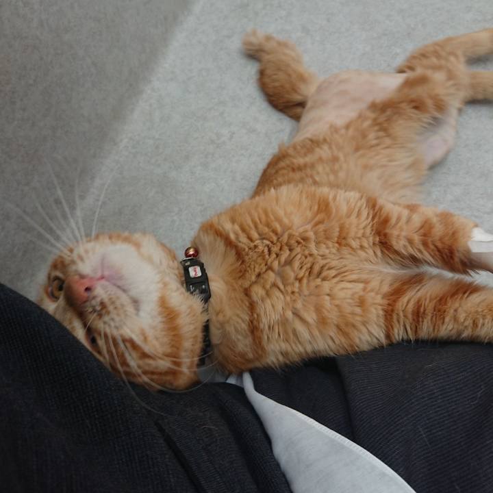 882cc0d8 d5f2 4f9d 8738 5c22084d4b11 1653816350266