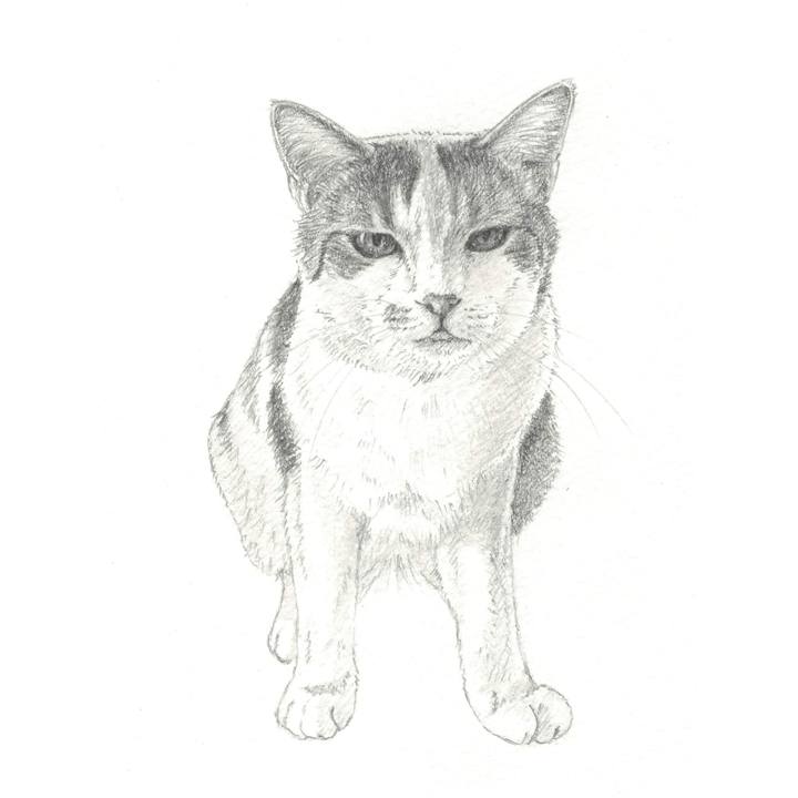 882d03d8 02cd 499d a978 d70f0755a38b 1559225542811