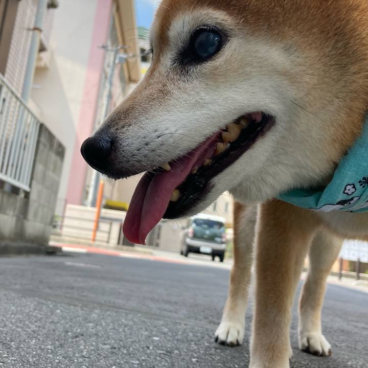 882d63c0 30a2 4801 b3b3 d4c343ca3fe3 1689038694706