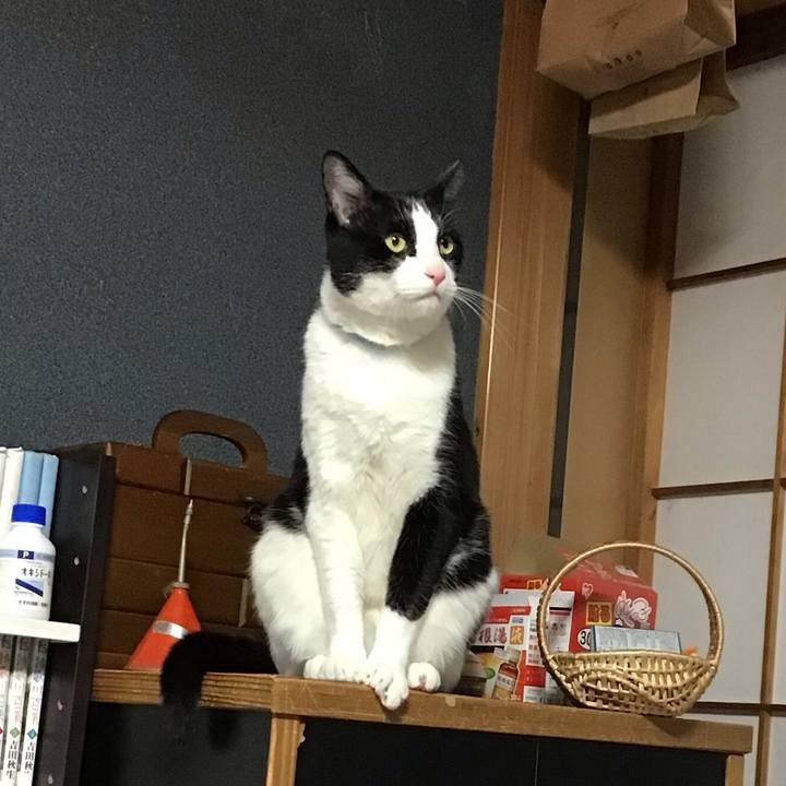 882d78b9 9532 4da8 ba6a ebd304efa377 1743593262859