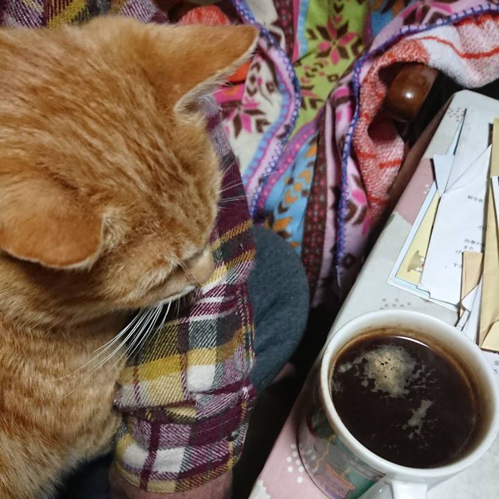 882d7b35 0fc8 4cd0 b213 dc8d029180c7 1584907881879