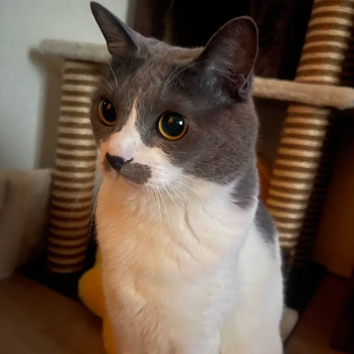 882d9319 5950 4e4f 88c4 663e20f7b601 1742375548132