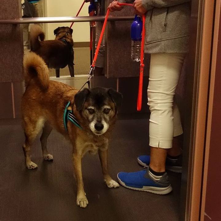 882db5b5 0353 4b97 b927 9f77f671b584 1510126432060