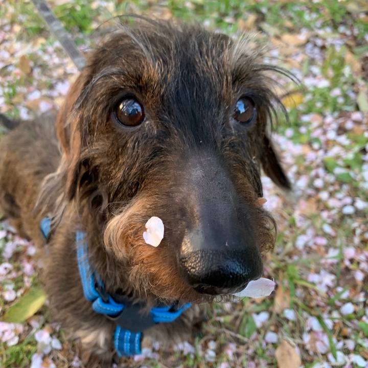 882dc371 eea6 4cc0 8c1f 3ec593033104 1586583184464