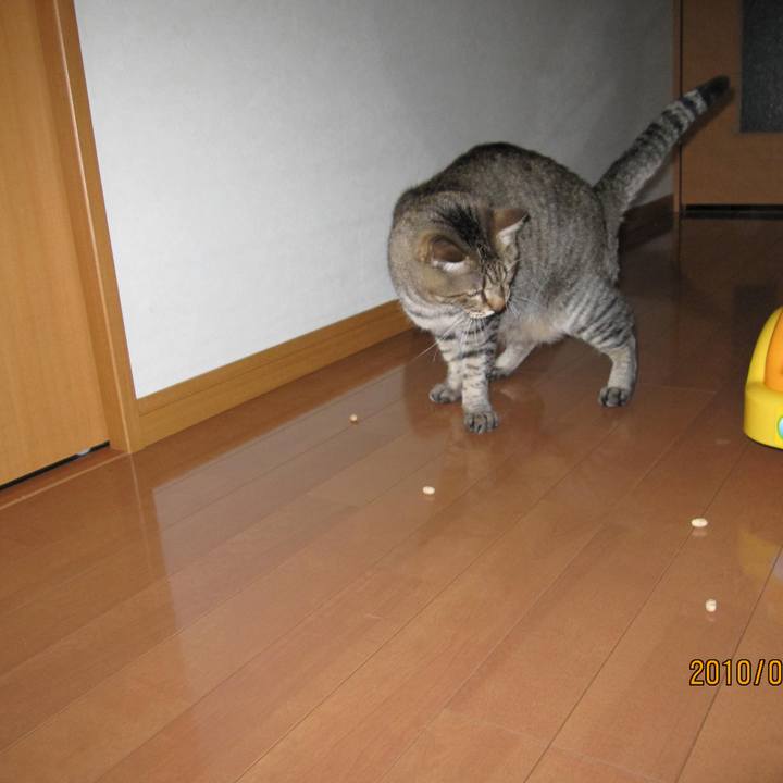 882e1e20 05e1 4dfd b20f c81ce2710793 1593310295873