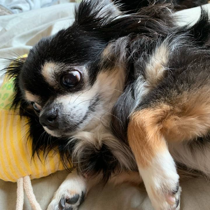 882e5723 6b18 4c3a a116 f1566183af59 1563684537705