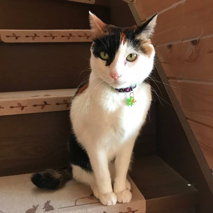 882e5f89 aa49 4ad3 b6ae 81fa06f90f08 1517291388392