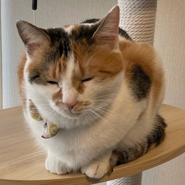 882e6d39 8ab8 42fd 95a8 ba5795343f14 1639352174128