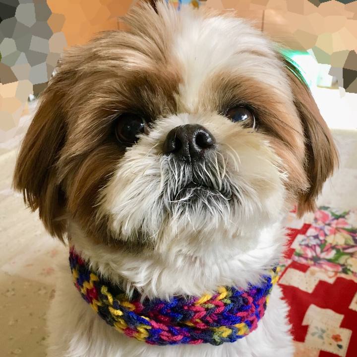 882ebaee 9e99 4cf6 9288 0d1dcf7bc58e 1515290927052