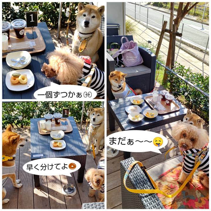 882ebf99 a652 4e2f b026 84a002cc8b88 1605511970061