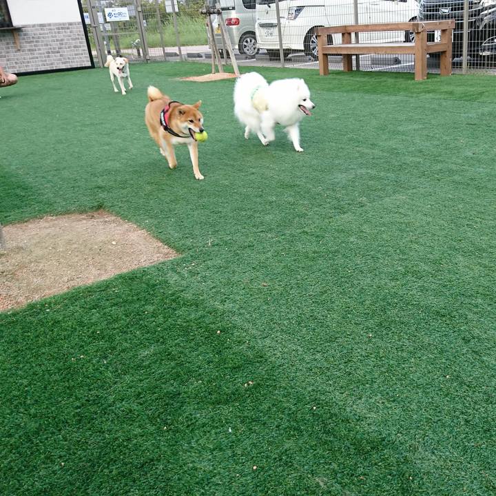 882f0bd3 297f 4001 83c1 e2aba8463e87 1567343649701