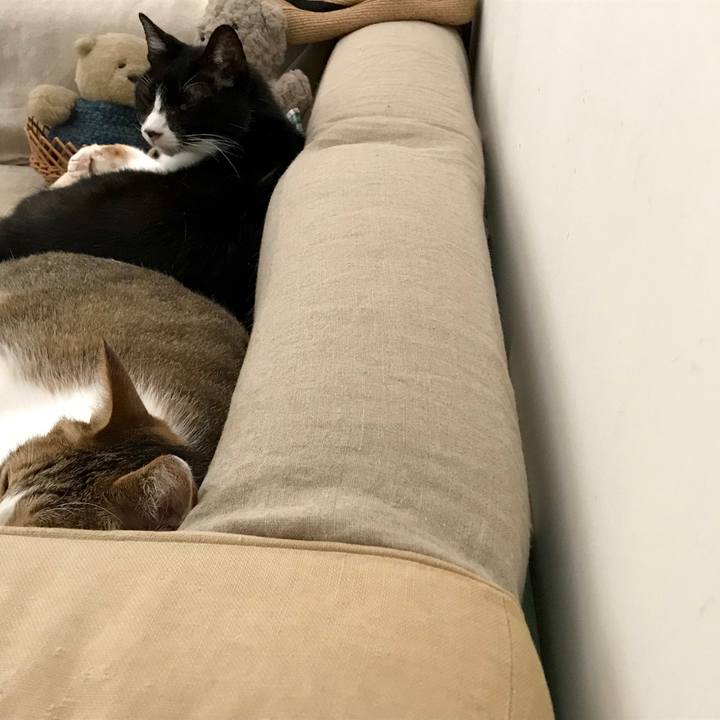 882f0db6 cba2 4be3 b689 c255c9618a03 1531893014480