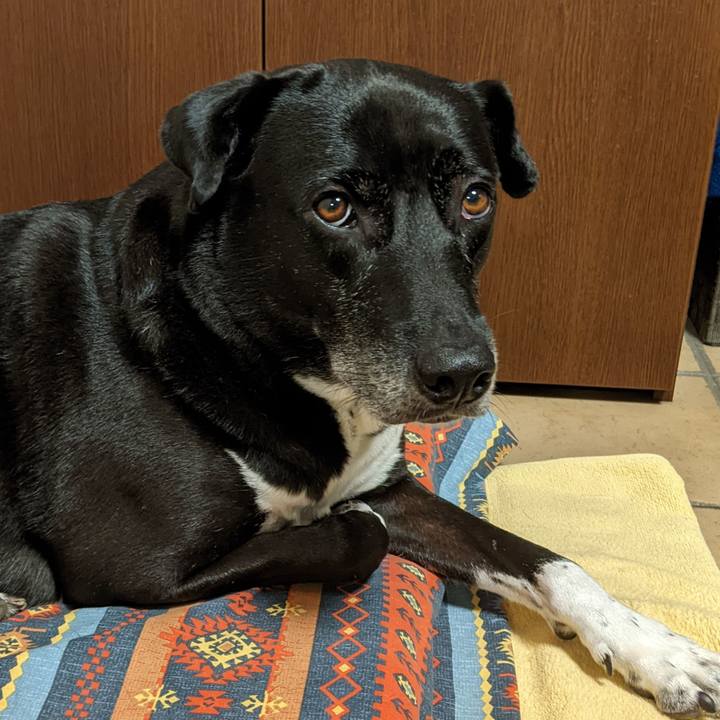 882f3291 70c5 427f 9e4f 1872b560b3b7 1697454415840