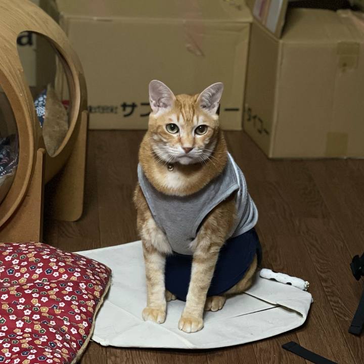 882f3c4c f2ab 46b6 aeab 441b7fb52ba4 1616046572085