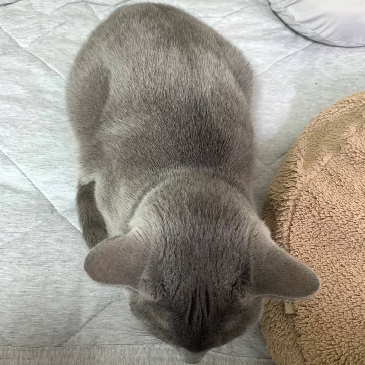 882f4426 6893 4208 b623 df0faaa2742d 1638750079520