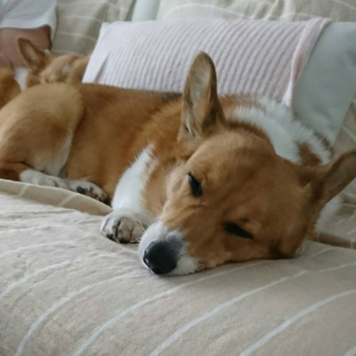 882f47a8 a346 4d63 ac79 479fb754a58f 1523075328067