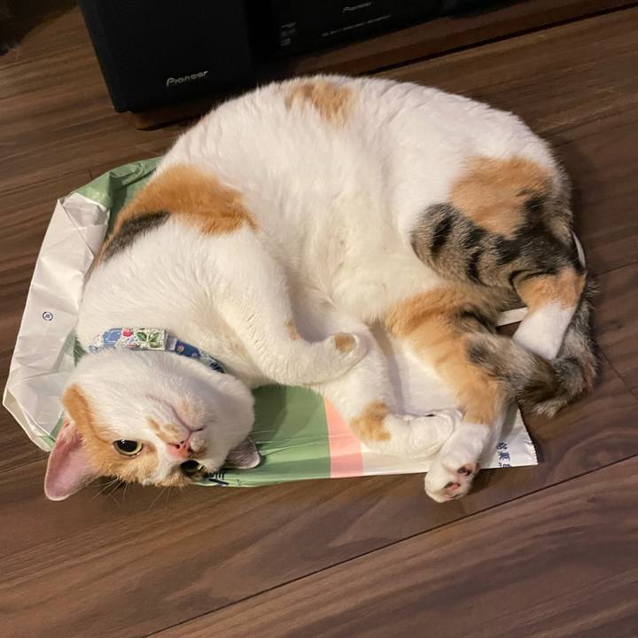 882f8637 258d 4482 b5db e9e8d10f3158 1694860229444