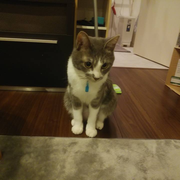 882f9bb7 986b 4d45 a284 fccffe0e5440 1587991581357