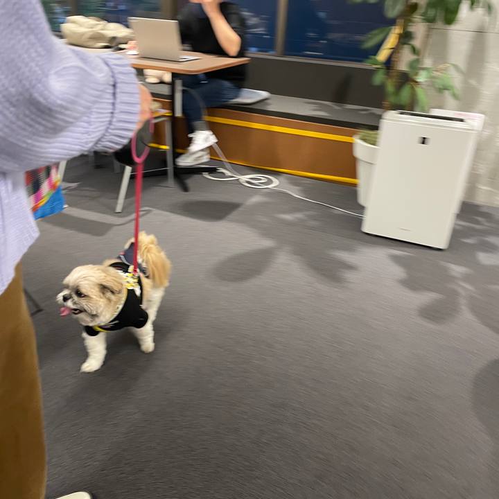 882fd012 b3de 4b0f 898c e26a477d8669 1637836190326