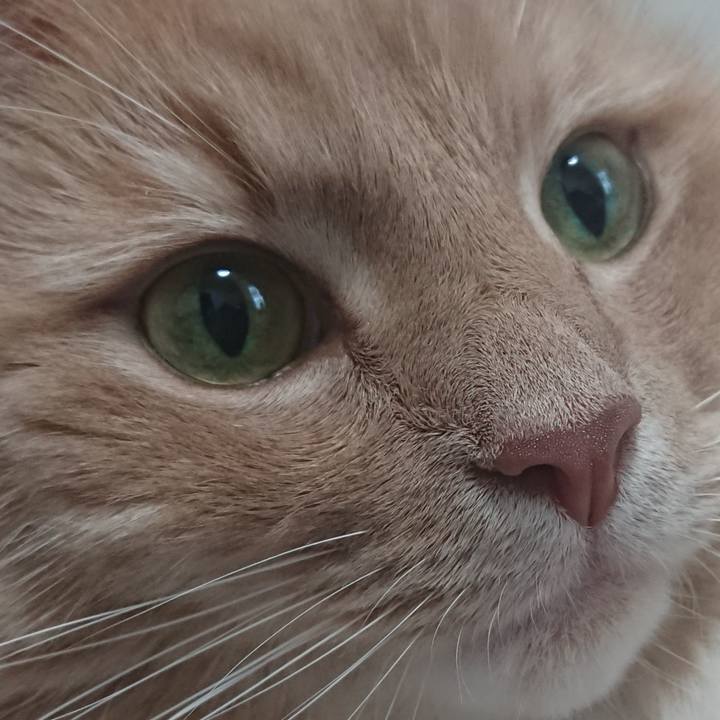 882fd27c 5dd6 40d7 b313 73448f9ff75c 1564970069795