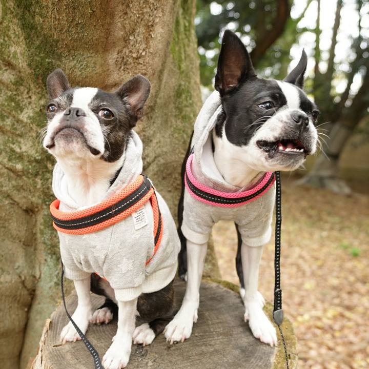 882fd79d 3d29 4ef6 be86 8cfbc27451f4 1510465240130