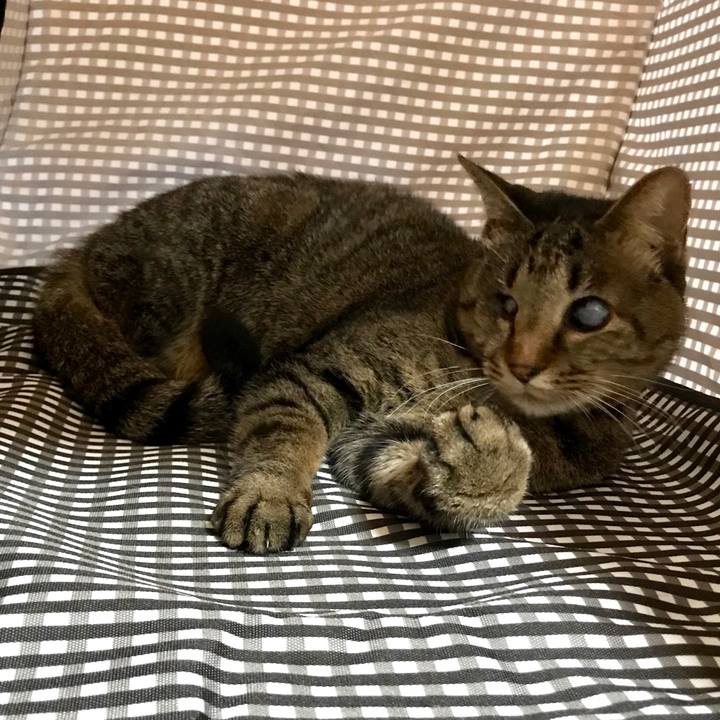 882ffbe2 0271 40e1 b544 4e232859df65 1556673443202