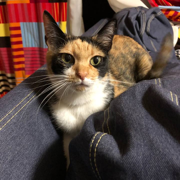 88301115 0d09 40d8 9dd1 ea6b6b85fa8a 1528713638119