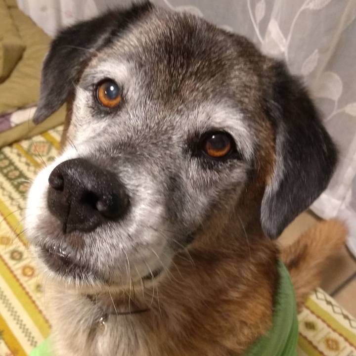 88303856 892f 4fce 9f5a 225c9e01d28a 1571562503776