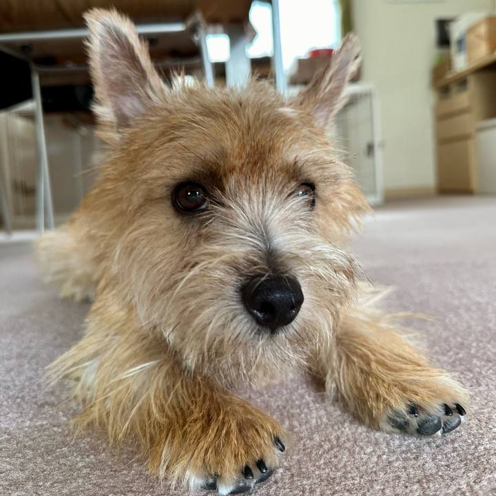 883040b5 3259 4751 91f6 eb01a01bca3b 1718078570743