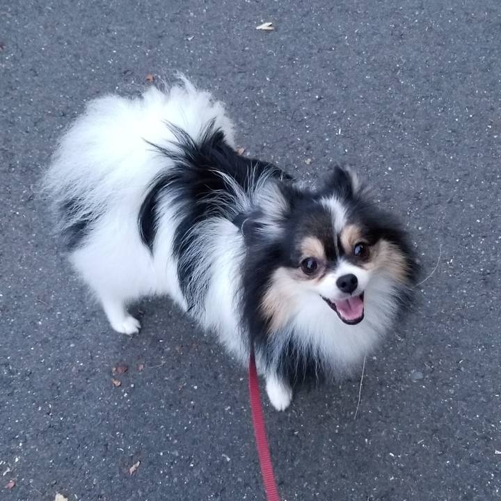 88306561 f9ff 4523 a647 2e75eacbe63e 1535855264457