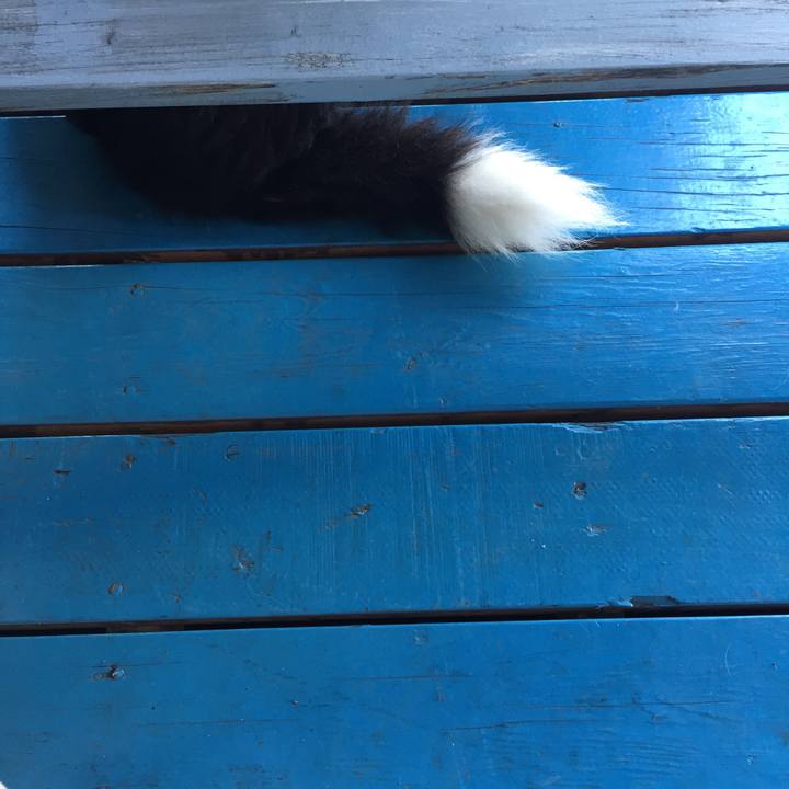 88306bf9 8547 4611 af6d 02be6d083456 1538974233993