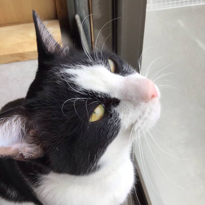 8830ea09 318e 4aa9 9c2e d3eacee16cc1 1650523399424