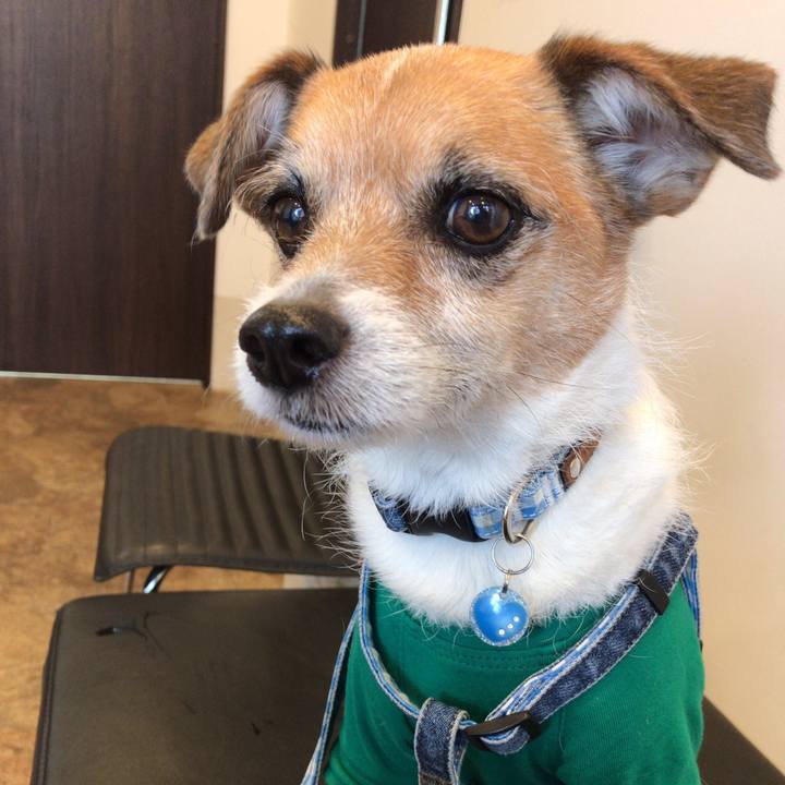 88310b01 de84 49ca a858 59c3d2439190 1557483361053